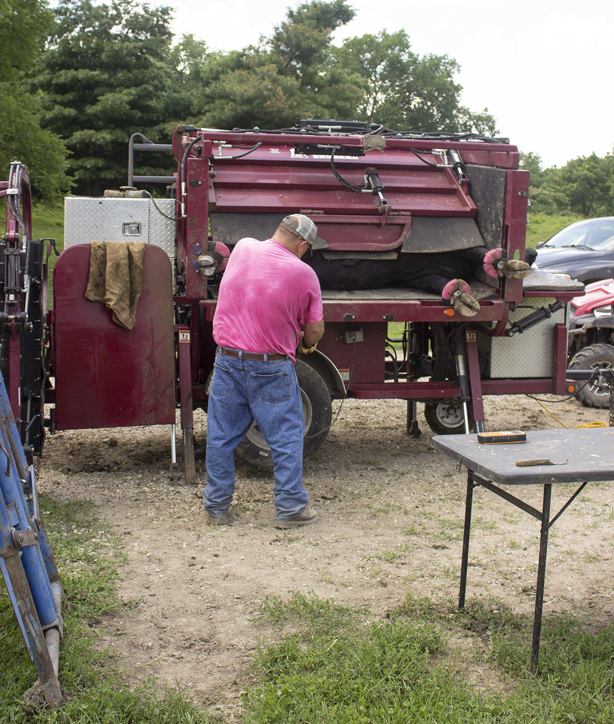 Sorrell Hoof Trimming